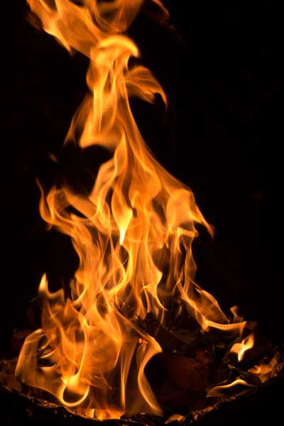 MediaHolyMotherPuja2014_image11